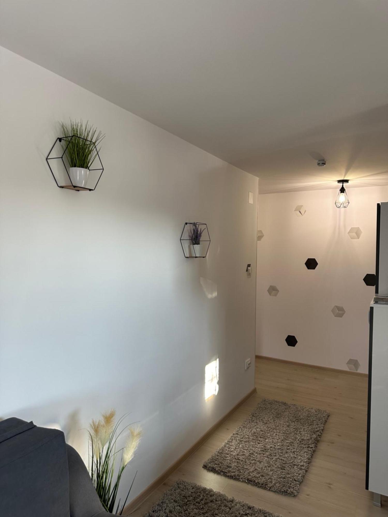 Jokai Apartments Nr7, Code Entry Sfântu-Gheorghe Kültér fotó